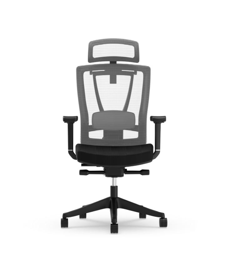 Fotel Flexispot C7