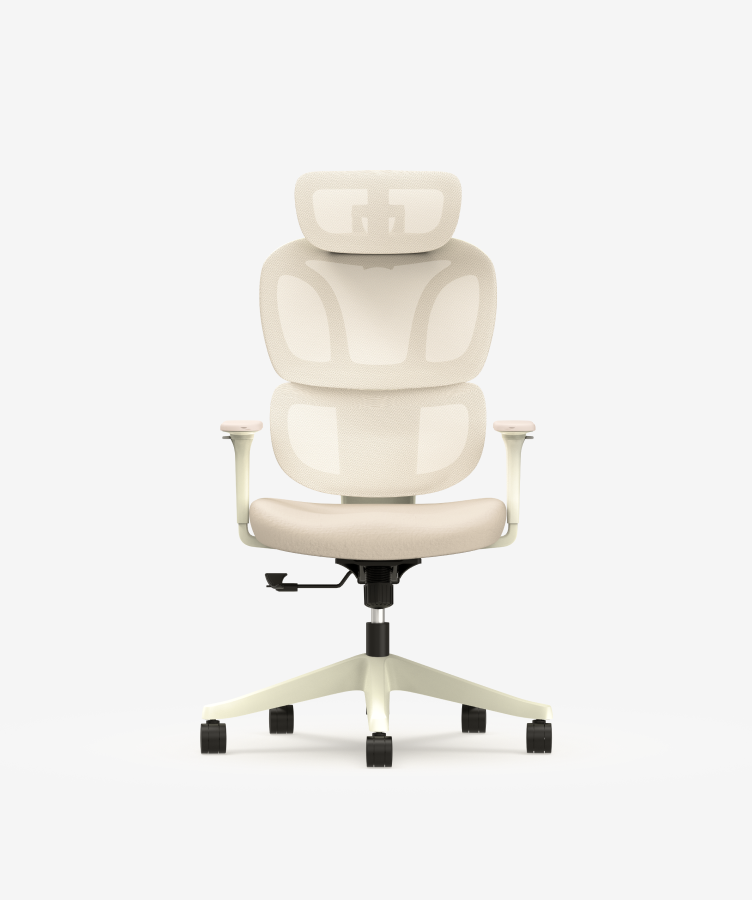 Meilleur top sièges chaise de bureau ergonomique dos design fraîche BS5 | FlexiSpot FR