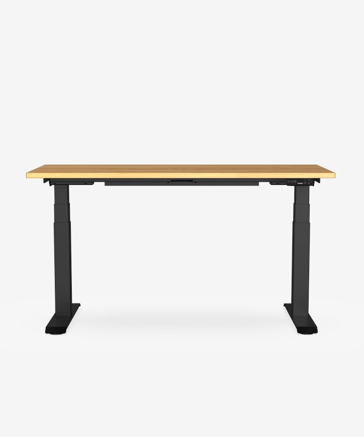 Adjustable Standing Desk Pro Series| FlexiSpot