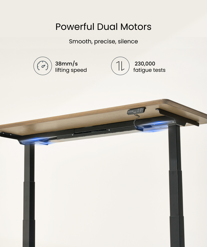 Flexispot E7 Standing Desk