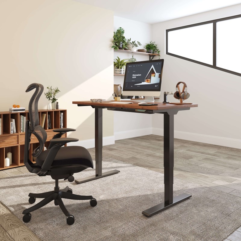 Product photograph of Flexispot E5 Electric Standing Desk Ergonomic Standing Desk For Home Office Study Gaming Black from FlexiSpot UK