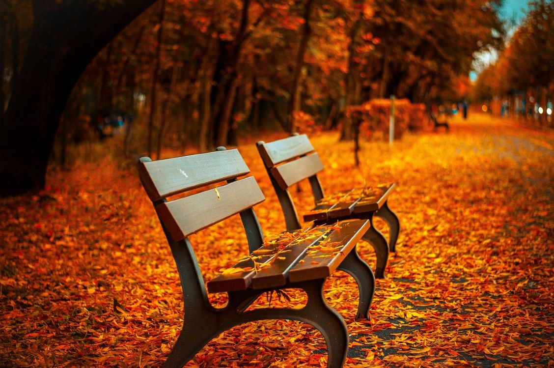 Embrace Autumn's Arrival: Preparing Mind and Body for Work | FlexiSpot