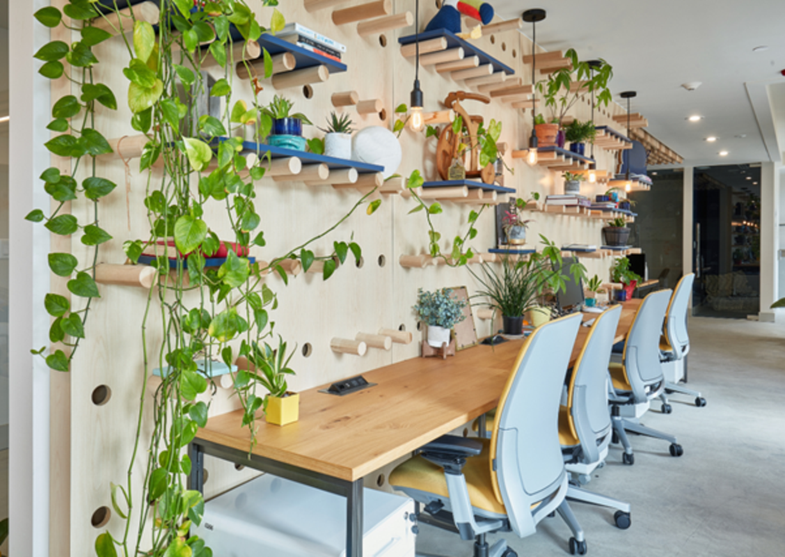 Cultivating Natural and Ergonomically Comfortable Workspaces | FlexiSpot